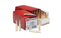 HRNDY 223REM 55GR SP 50/500